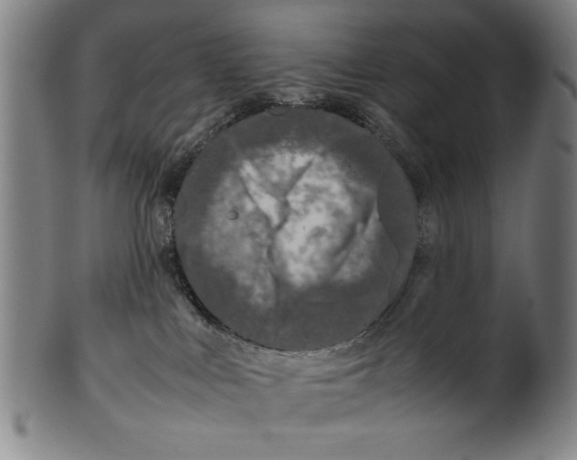 X0000099410043200806060942