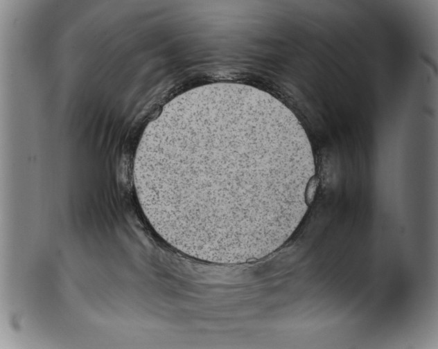 X0000099410044200806060942