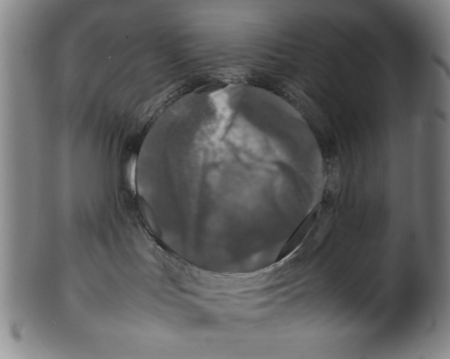 X0000099410047200806060942