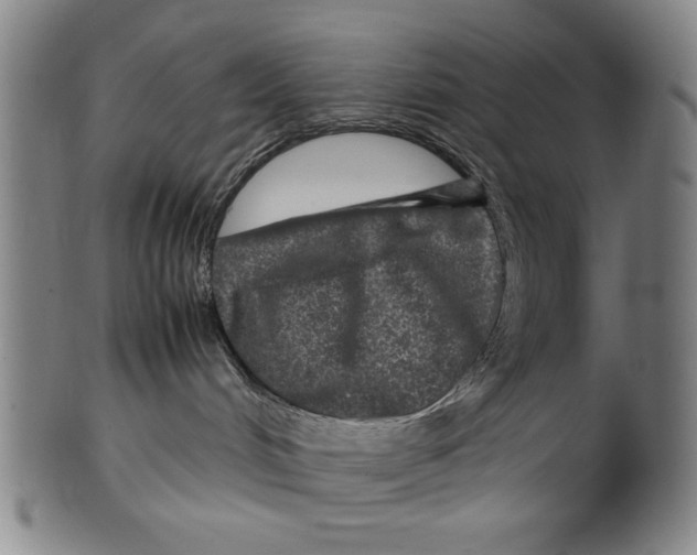 X0000099410048200806060942