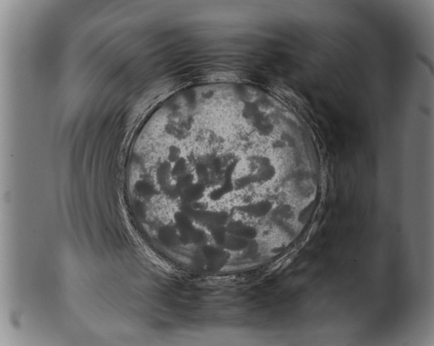 X0000099410049200806060941