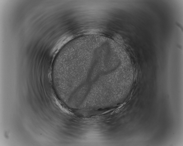 X0000099410050200806060941