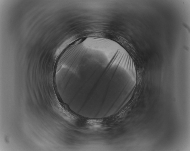 X0000099410051200806060941