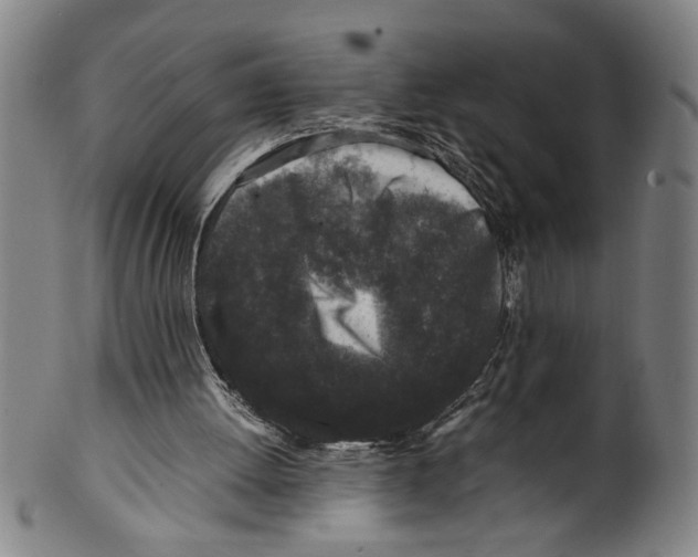 X0000099410052200806060941