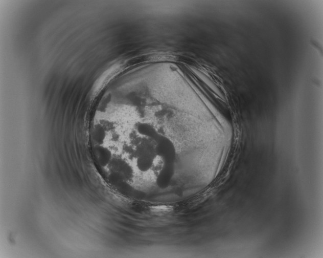 X0000099410053200806060941