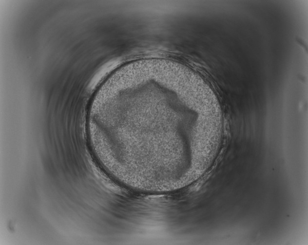 X0000099410054200806060941