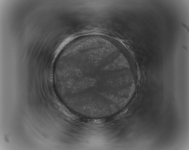 X0000099410056200806060941