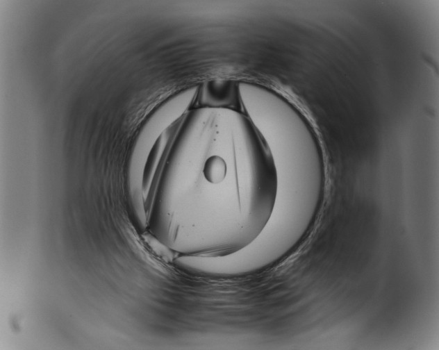 X0000099410057200806060941