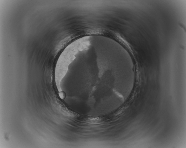 X0000099410059200806060941