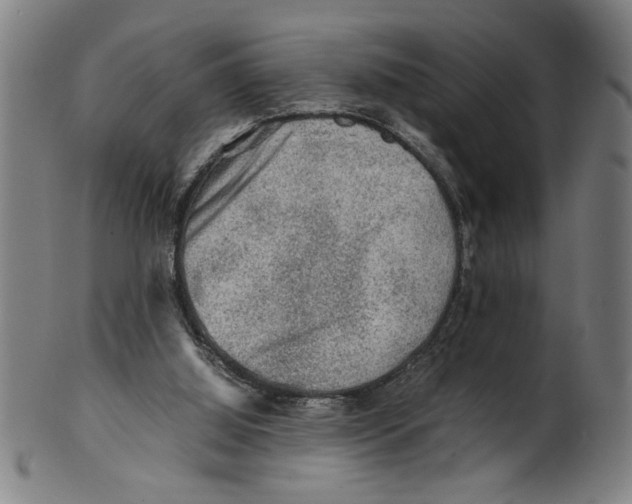 X0000099410060200806060941