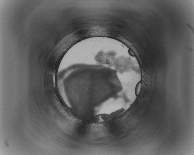 X0000099410061200806060941