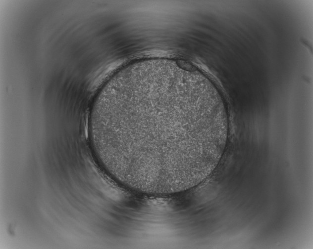 X0000099410062200806060941