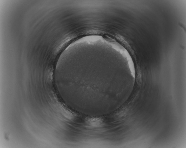 X0000099410063200806060941