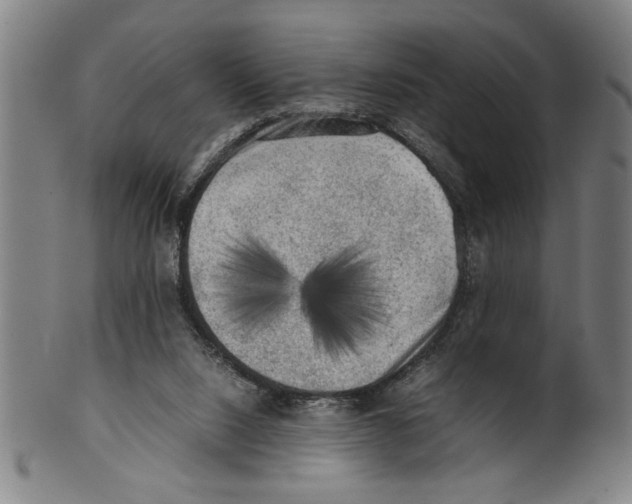 X0000099410064200806060941