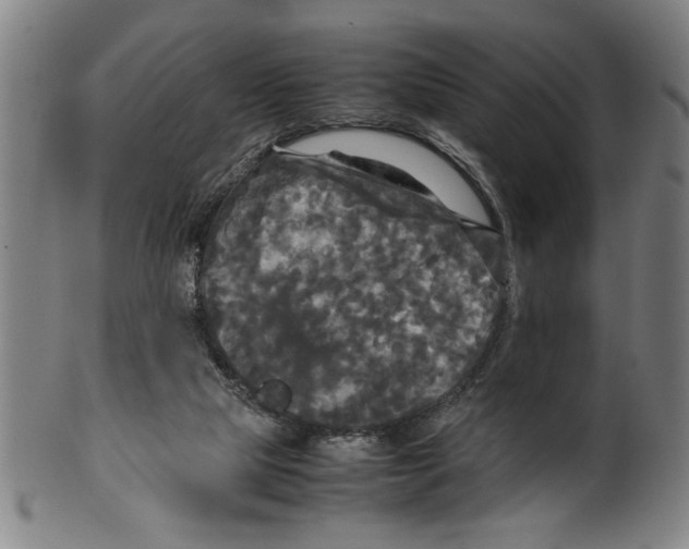 X0000099410065200806060941