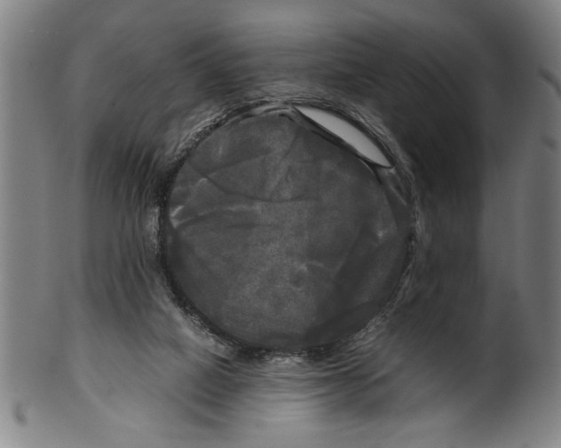 X0000099410066200806060941