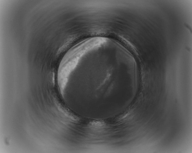 X0000099410067200806060941