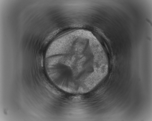 X0000099410068200806060941
