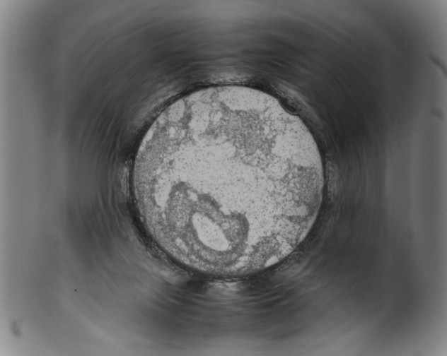 X0000099410071200806060941