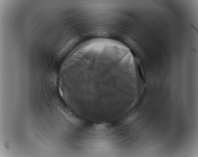 X0000099410072200806060941