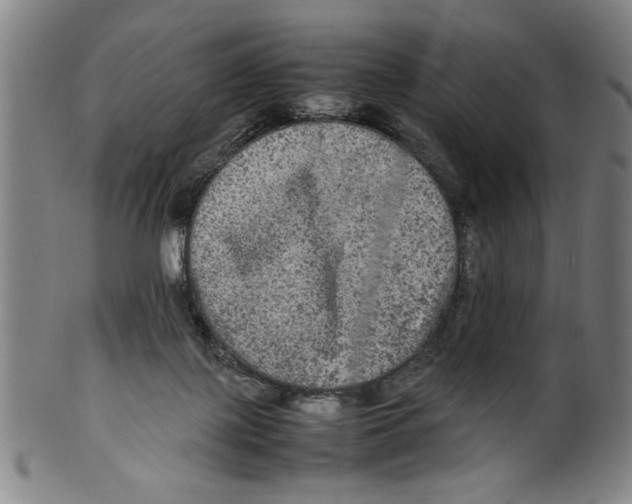 X0000099410075200806060941