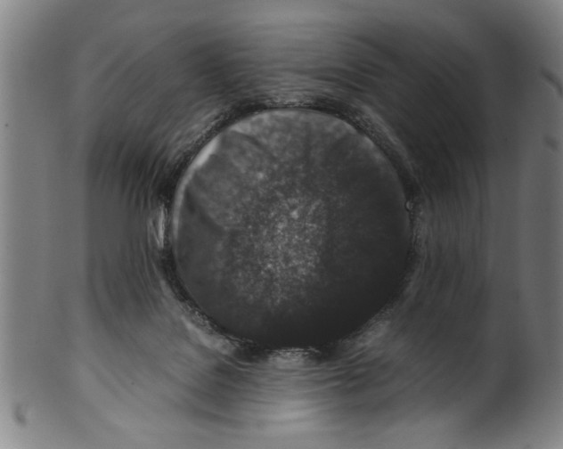 X0000099410076200806060941