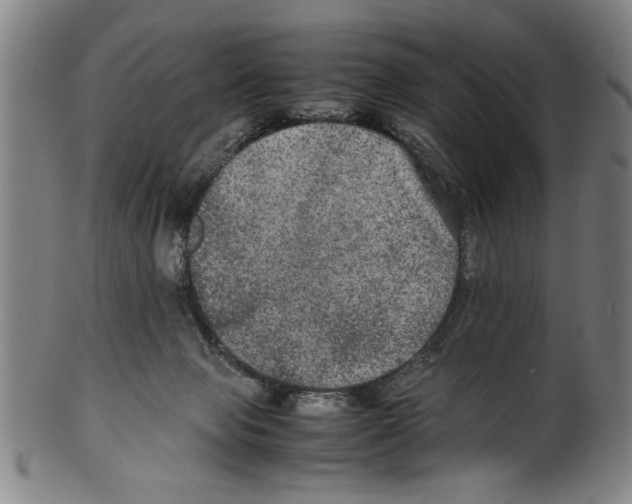 X0000099410077200806060941