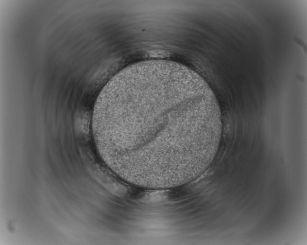 X0000099410078200806060941