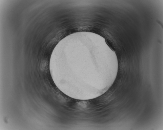 X0000099410079200806060942