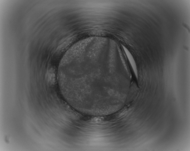 X0000099410080200806060942