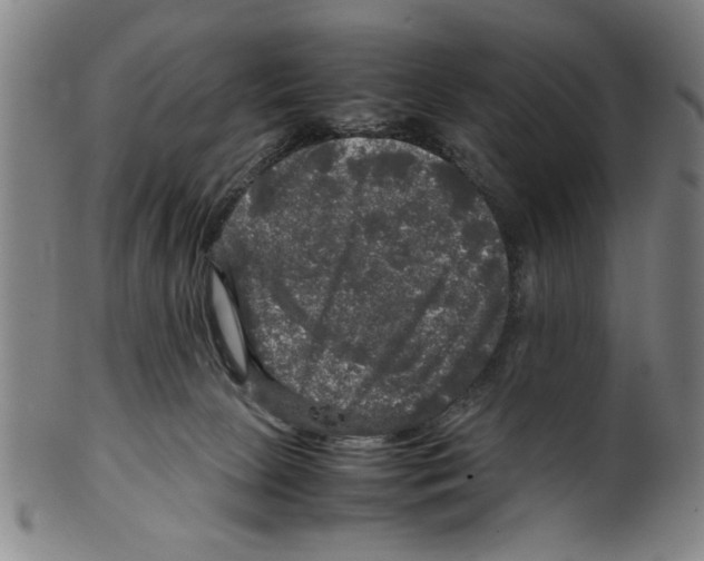 X0000099410081200806060942