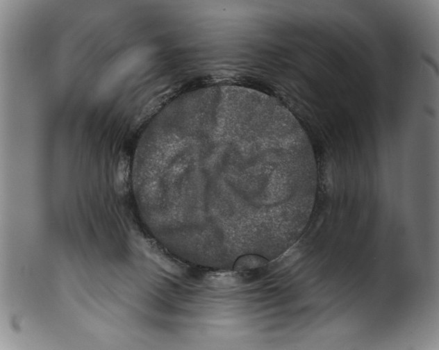 X0000099410082200806060942