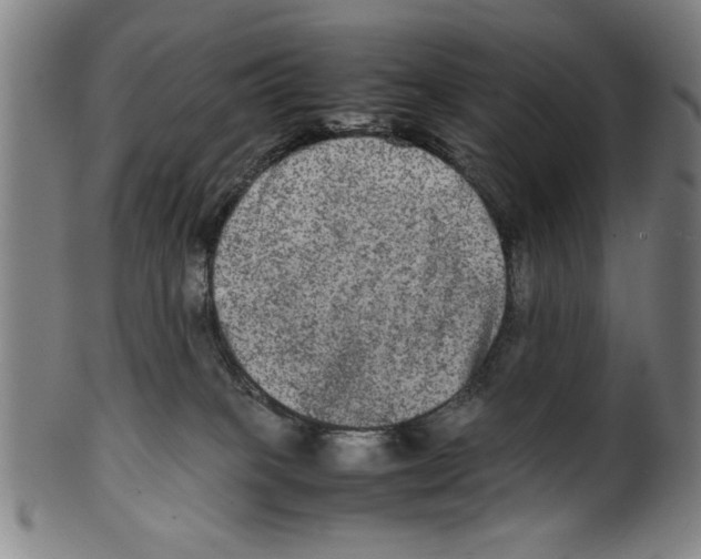 X0000099410085200806060942