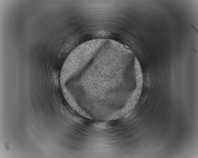 X0000099410086200806060942