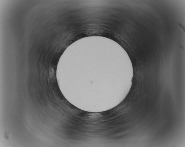 X0000099410087200806060942