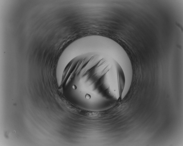 X0000099410088200806060942