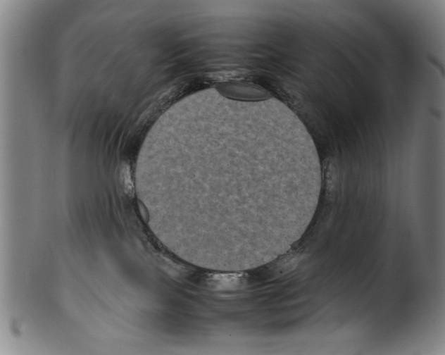 X0000099410089200806060942