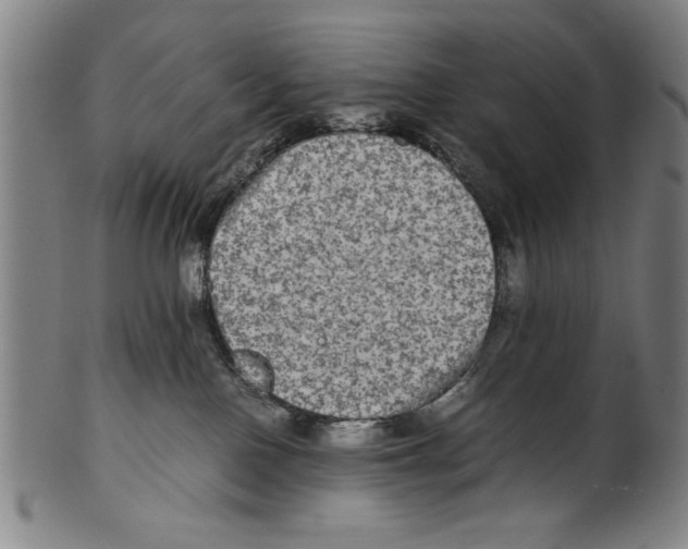 X0000099410090200806060942