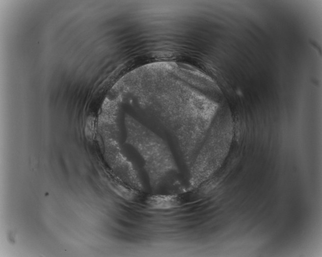 X0000099410093200806060942