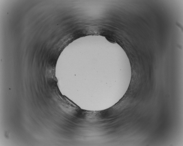 X0000099410096200806060942