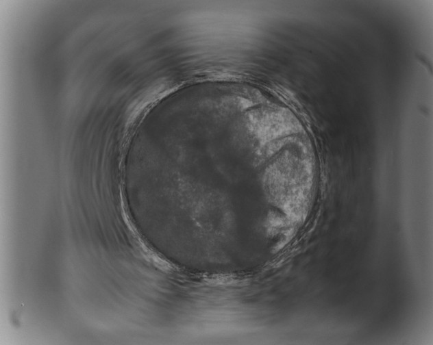 X0000099410097200806060941