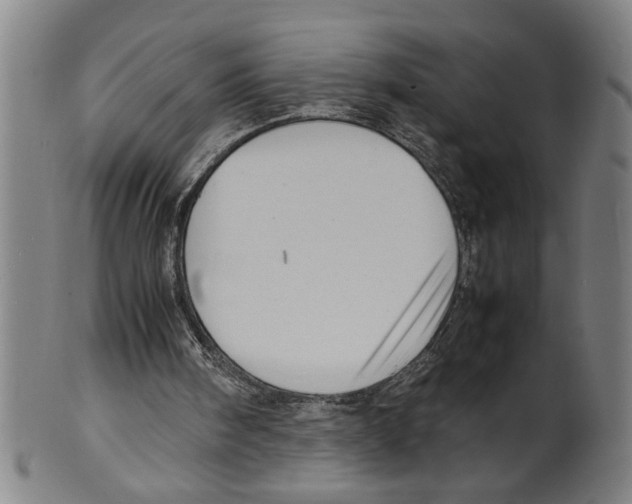 X0000099410098200806060941