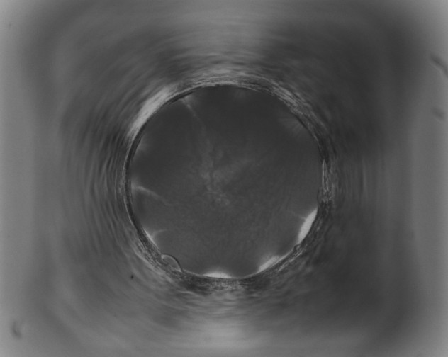 X0000099410099200806060941