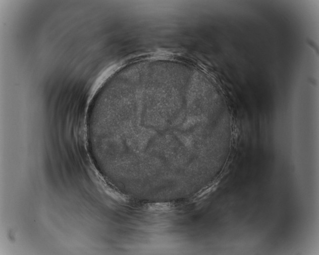 X0000099410102200806060941