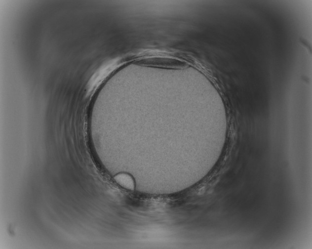 X0000099410103200806060941