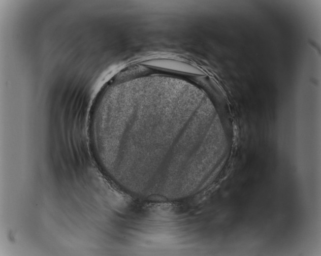 X0000099410104200806060941