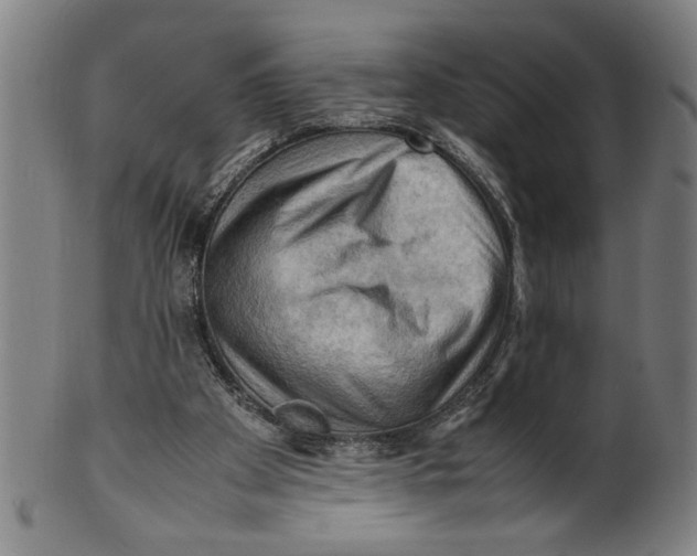 X0000099410105200806060941