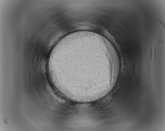 X0000099410106200806060941