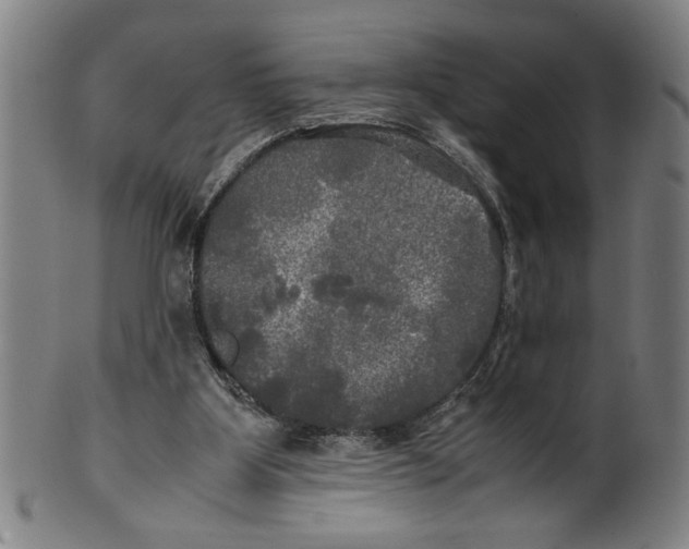 X0000099410107200806060941