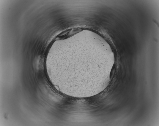 X0000099410108200806060941